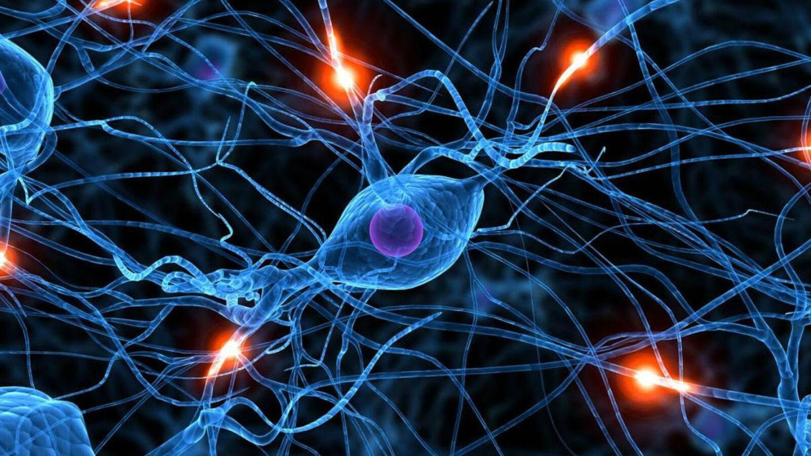 Разрушенная нервная система. Синапс нейрона. Нейросеть Нейроны синапсы. Нервная система человека Нейрон. Нейрон клетка головного мозга.